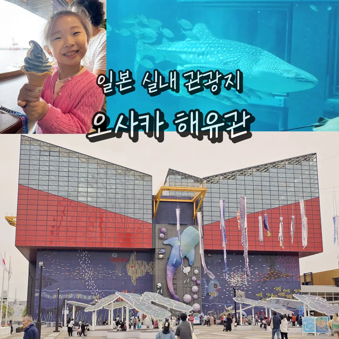 รีวิวพิพิธภัณฑ์สัตว์น้ำไคยูคัง โอซาก้า 2026: ที่เที่ยวในร่มสุดปัง!