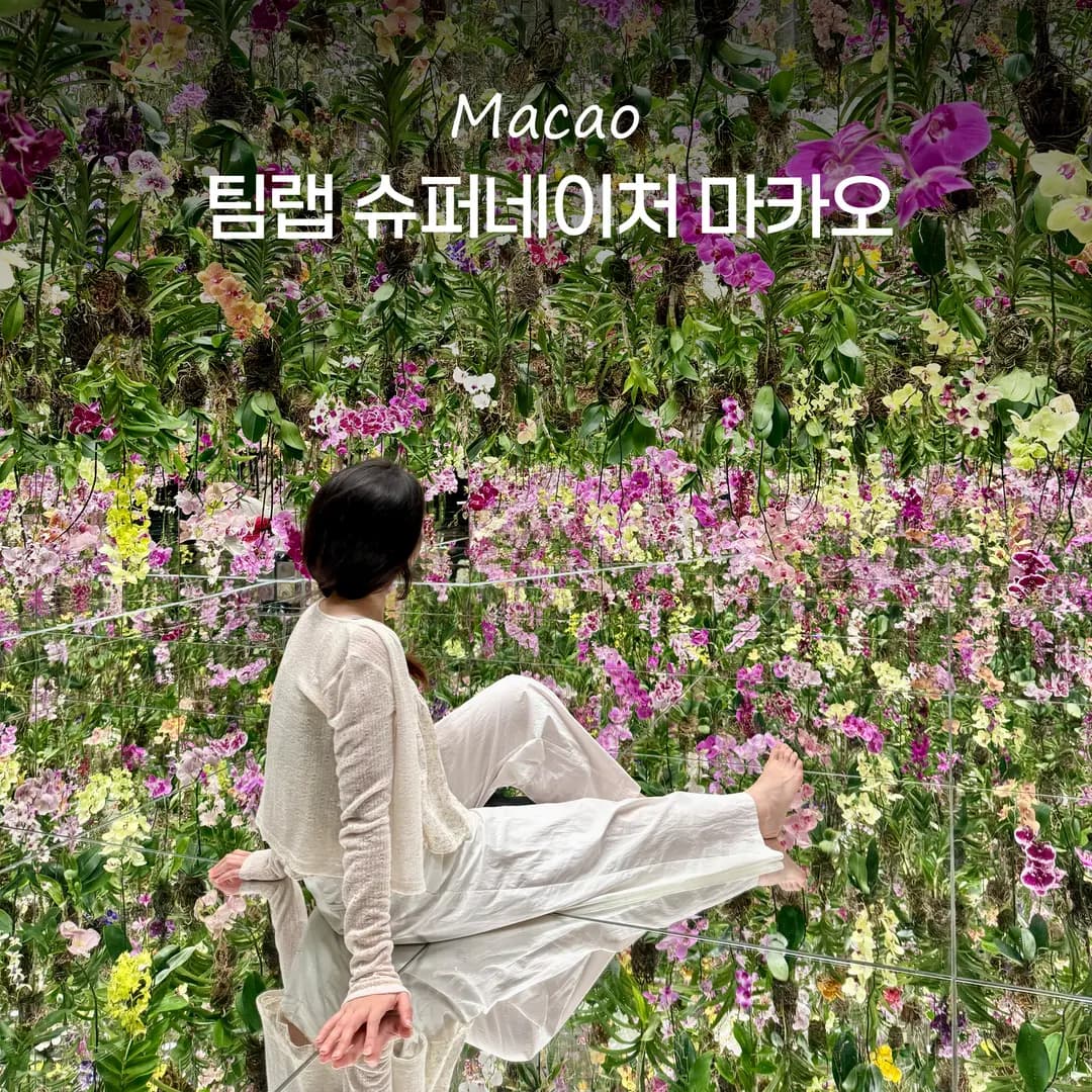 teamLab SuperNature Macao Review 2026: Venetian & Parisian Link