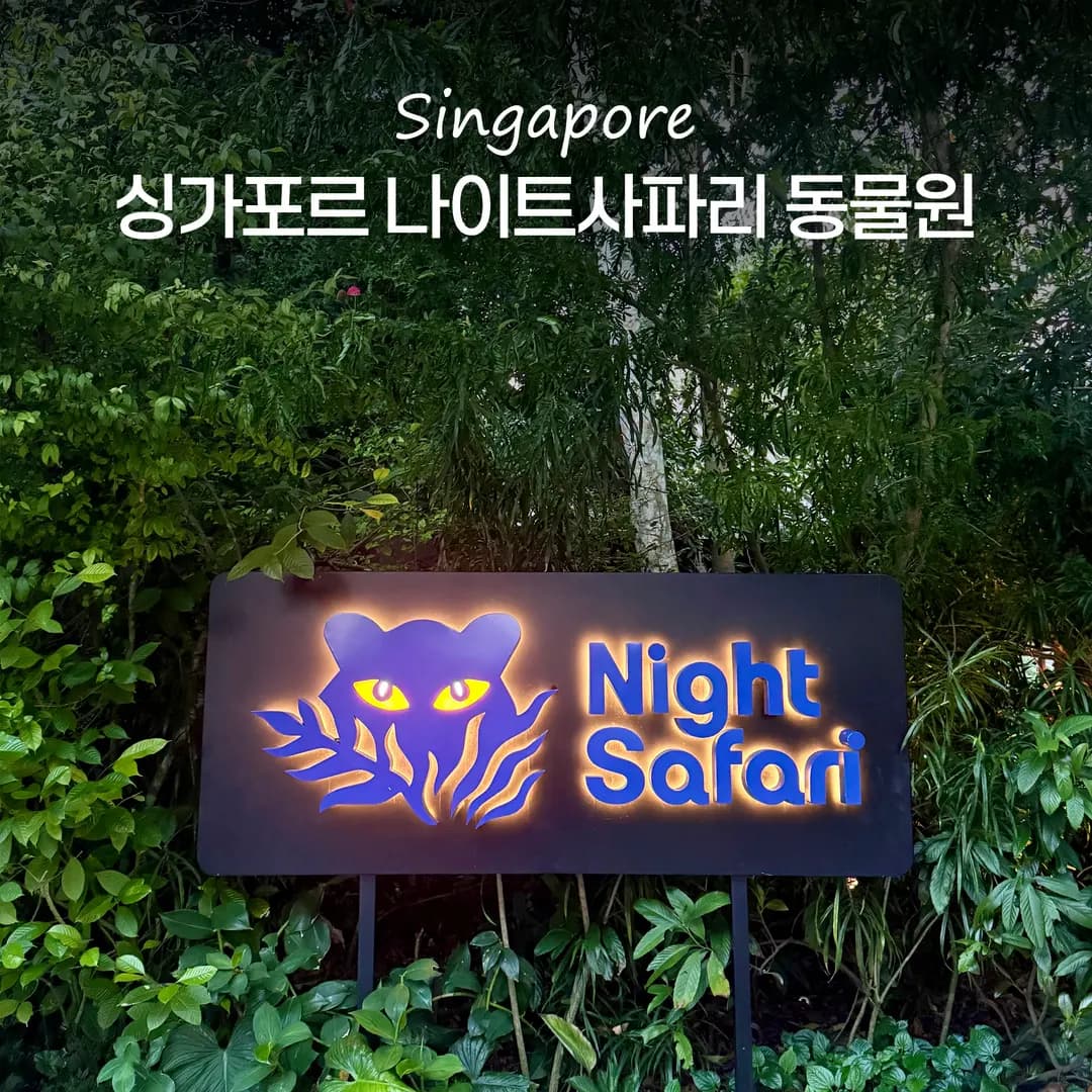 Singapore Night Safari 2026: Tickets, Shows & Getting There