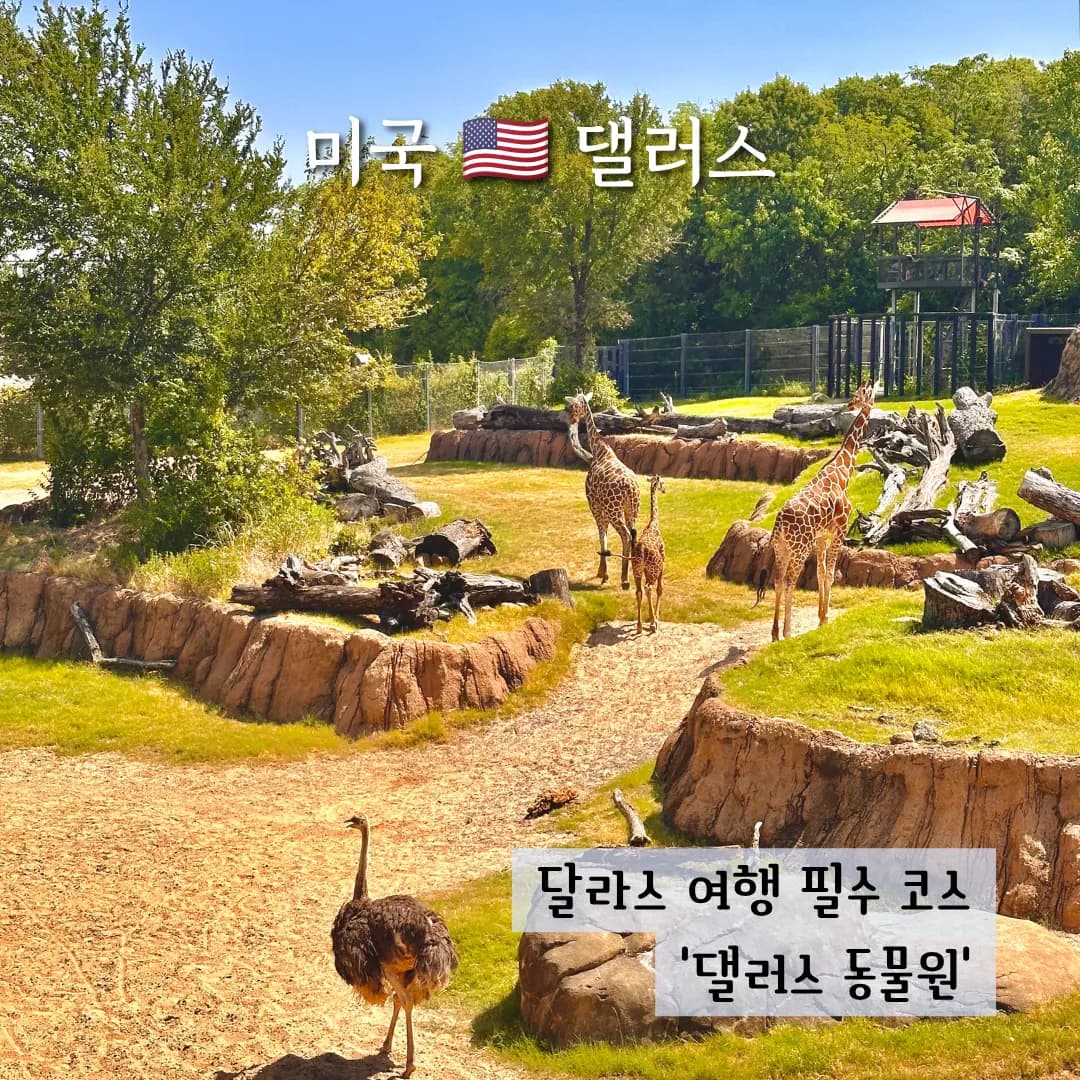Dallas Zoo Guide 2026: Admission, Parking & Must-See Animals