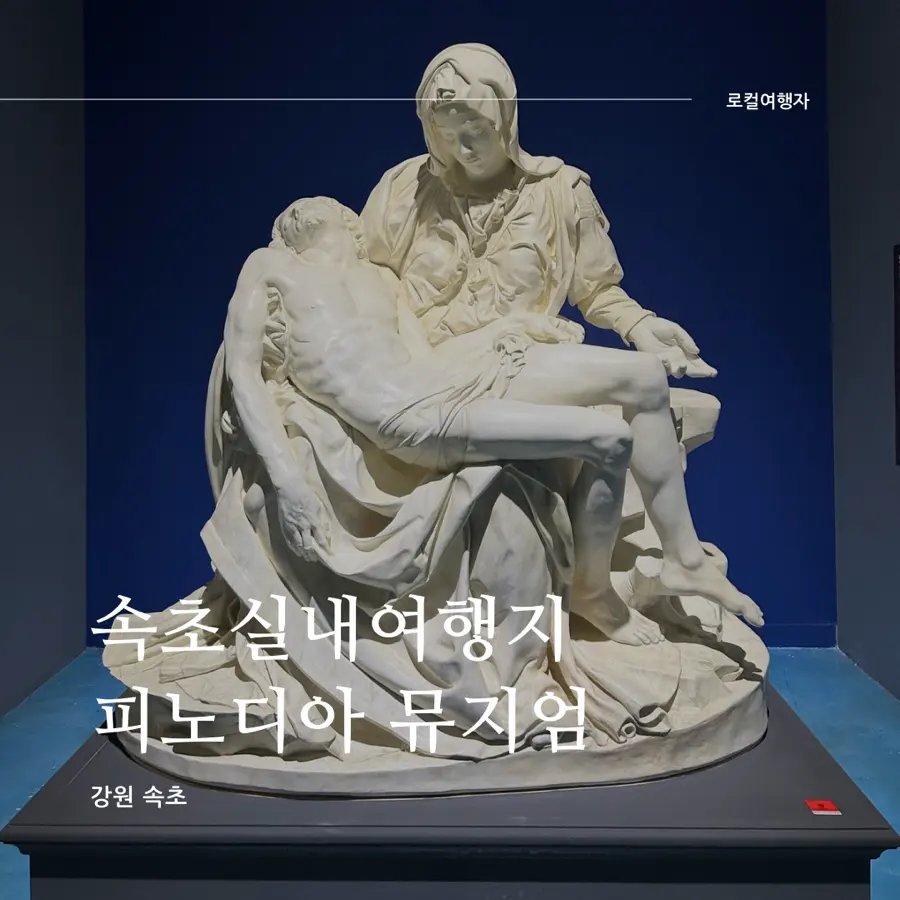 Pinodia Museum Sokcho 2026: Da Vinci & Michelangelo for Families