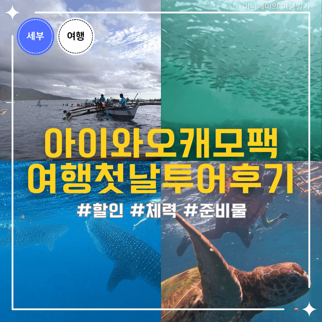 Oslob Whale Shark Tour Cebu 2026: รีวิวคนว่ายน้ำไม่เป็นก็ฟินได้!