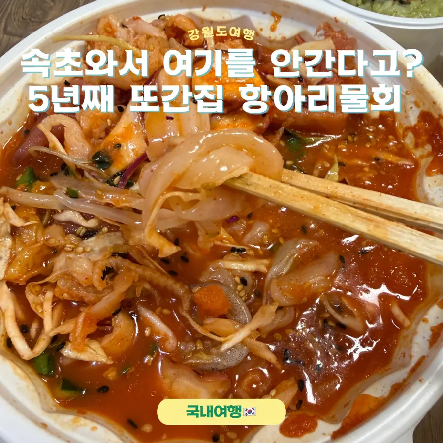 Hangari Mulhoe Sokcho Beach Review: My 5-Year Favorite