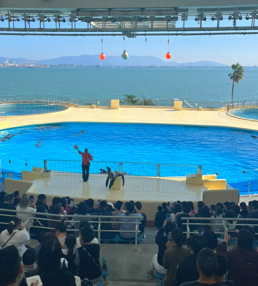 Fukuoka Marine World Tickets 2026: Family Discounts & Ferry Guide