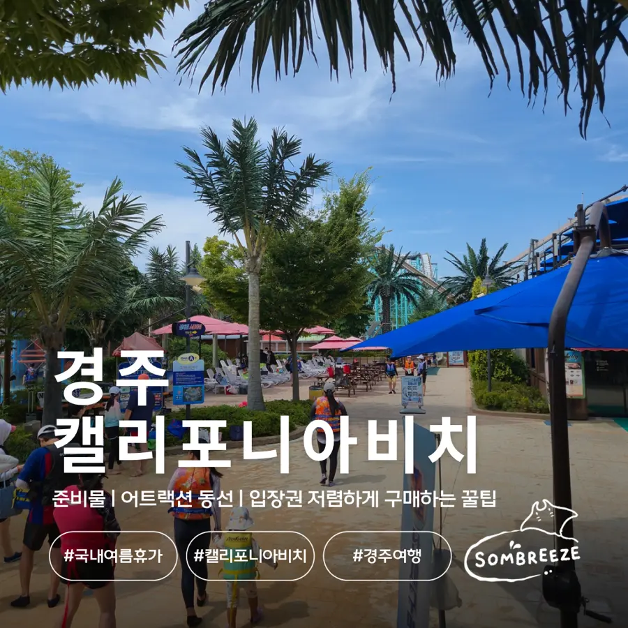 경주 워터파크 캘리포니아비치 꿀팁 반값예약 총정리 (쓰나미 유수풀)
