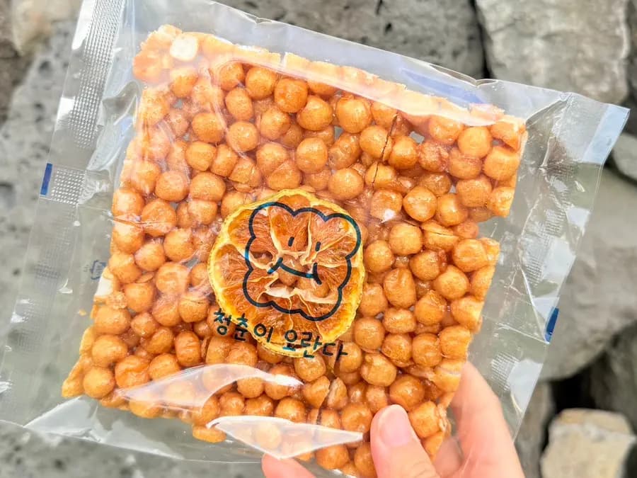 제주 동문시장 선물 추천, 청춘이오란다에서 오란다 5종 먹어본 후기 🍪