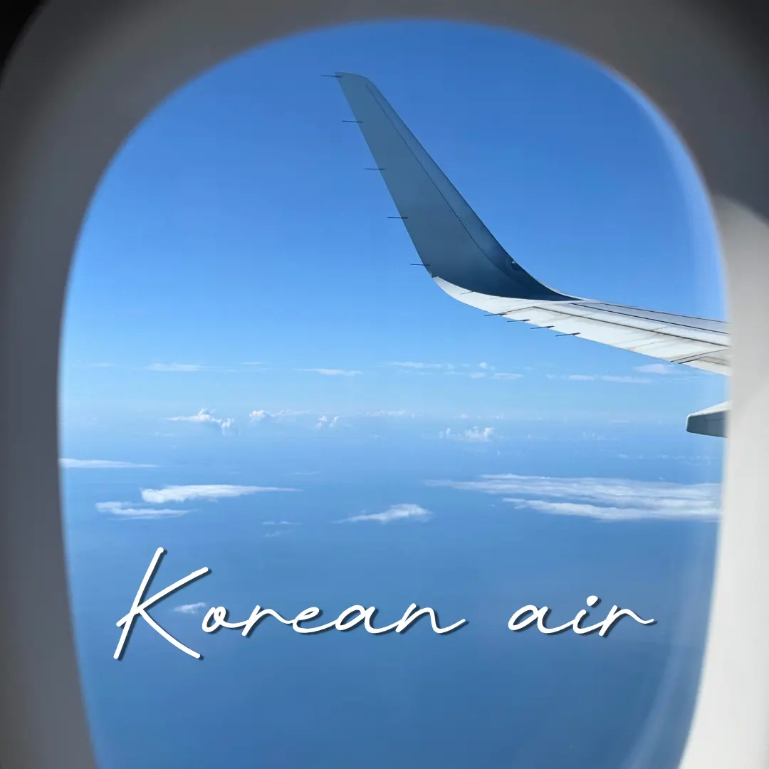 大韓航空 仁川-西安 直行便 KE141/KE142 搭乗記 2026年|機内食・座席レビュー