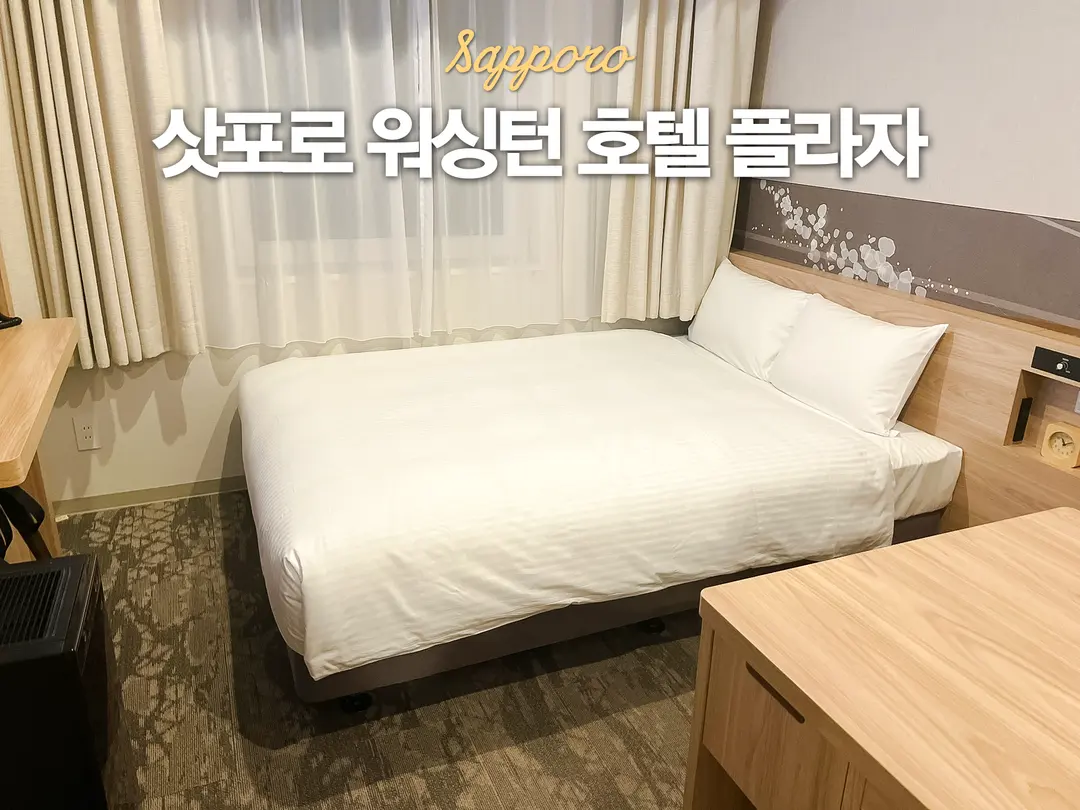 Sapporo Washington Hotel Plaza Review: Best Value Near Station
