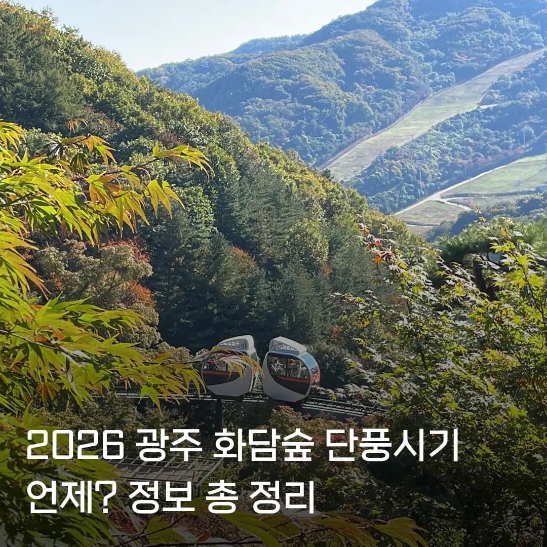 Hwadamsup Gwangju Autumn Foliage 2026: When to Visit & Tips