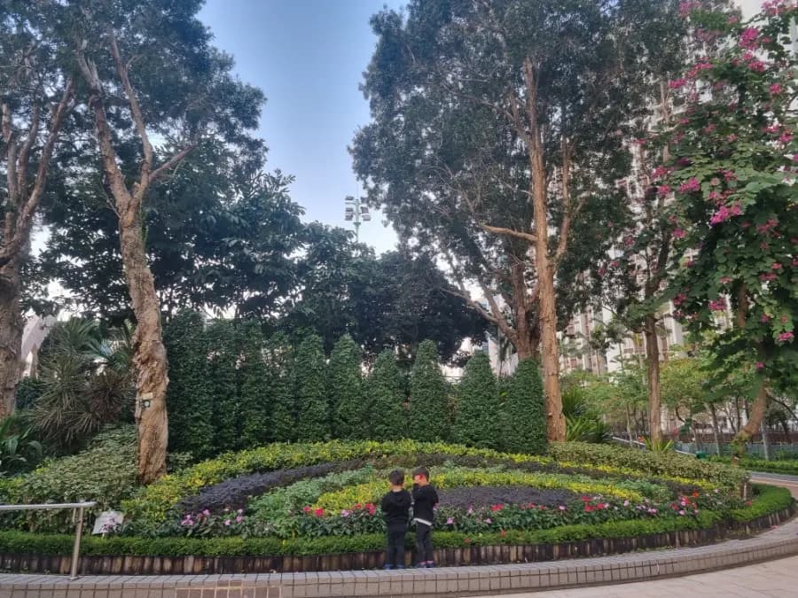 Quarry Bay Park ฮ่องกง: จุดลับวิวทะเลสุดชิลที่คนท้องถิ่นเลิฟ