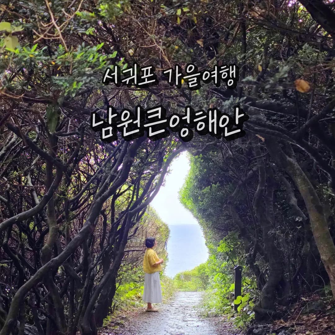 제주 동쪽 가볼만한곳 남원큰엉해안경승지 올레길 5코스 가을여행