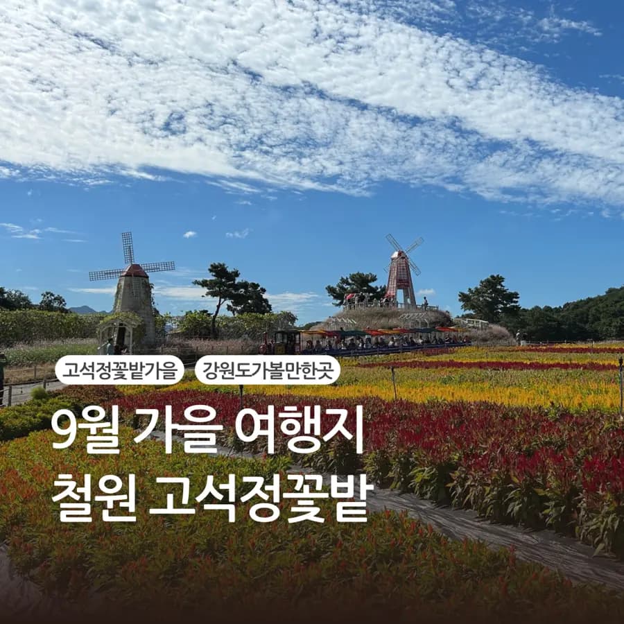 철원 고석정 꽃밭 9월 여행지 추천