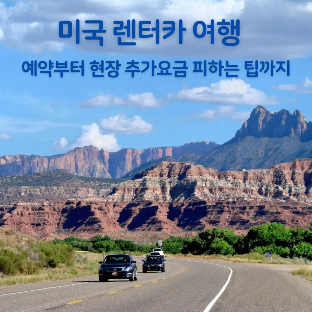 미국 렌터카 여행, 국제운전면허증부터 보험, 주유, 톨게이트 실제 운전 후기
