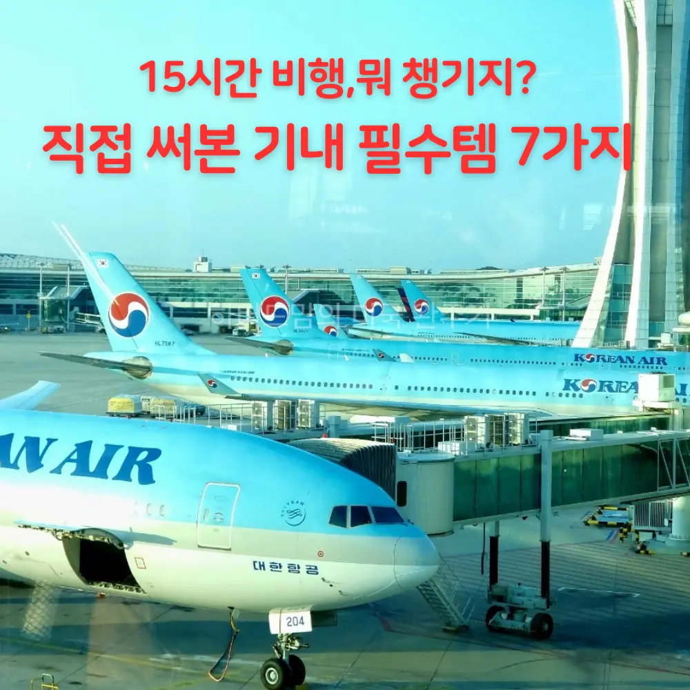 East Coast US Travel: 7 Long-Haul Flight Essentials 2026