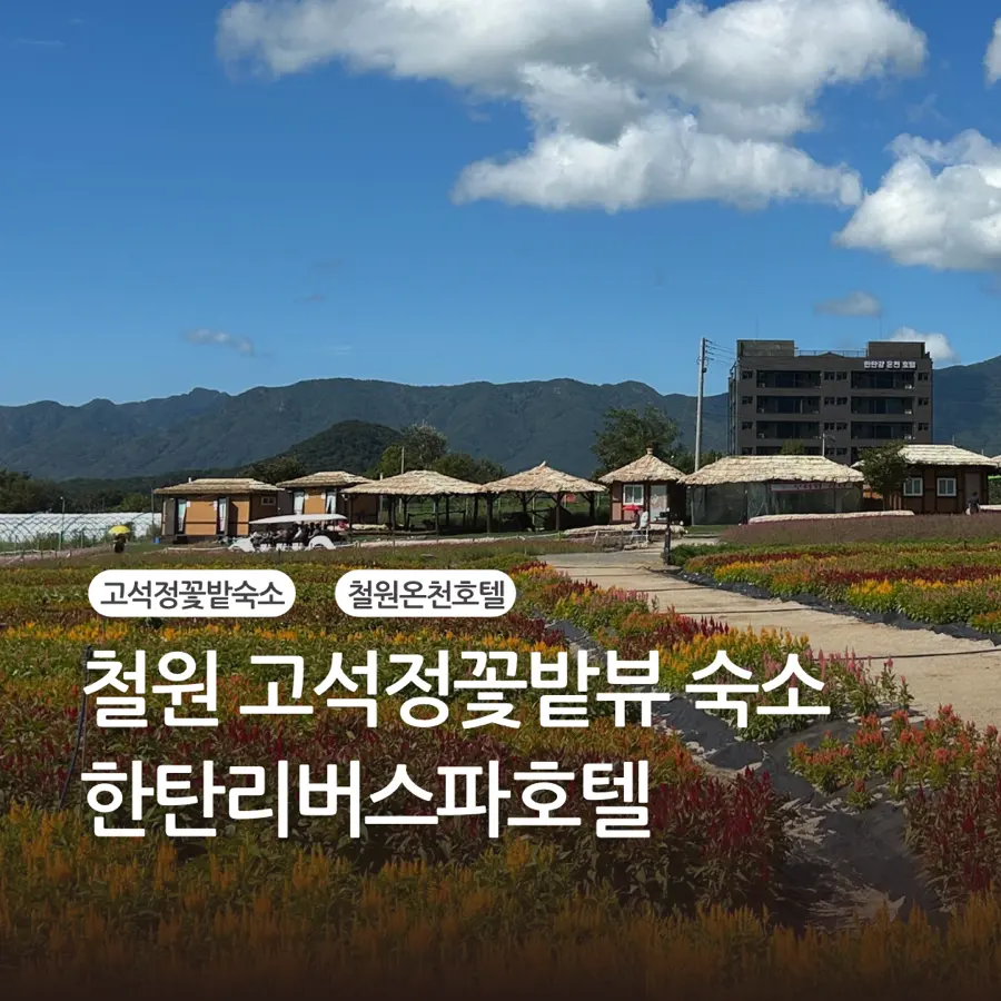 고석정꽃밭 숙소 꽃밭뷰와 한탄강뷰 모두 갖춘 온천호텔 한탄리버스파호텔