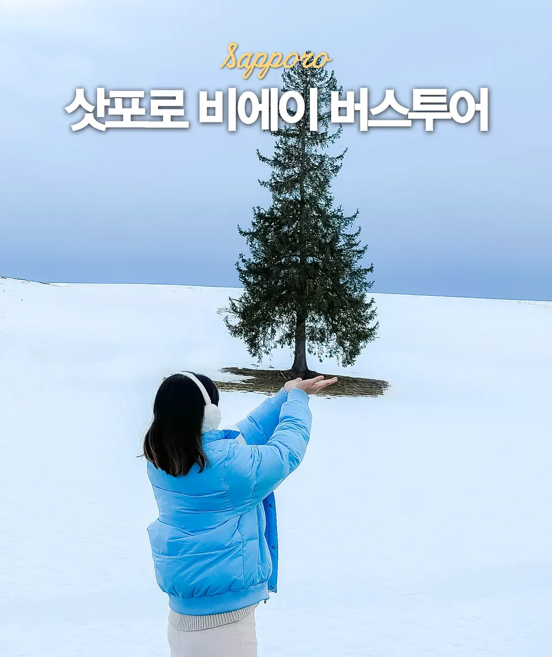 삿포로 비에이투어 예약 버스 닝구르테라스 업체 비교
