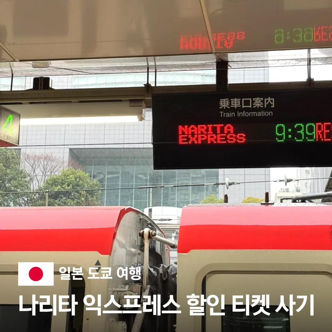 Narita Express (N'EX) Tickets 2026: One-Way vs. Round-Trip