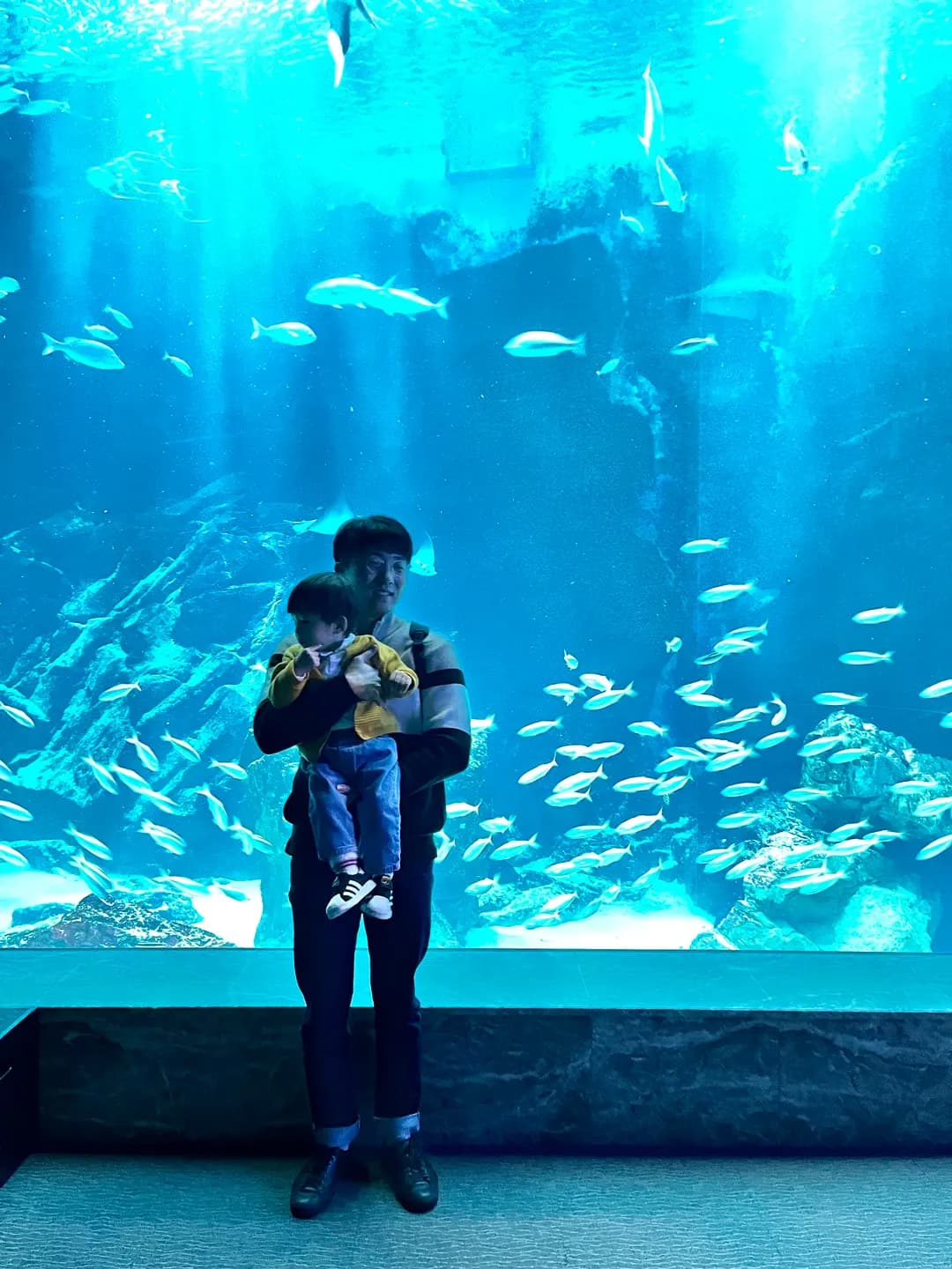 Fukuoka Marine World 2026: Is It Worth Visiting with Kids?