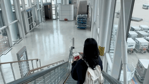 Air Macau Review 2026: In-Flight Experience & Booking Deals