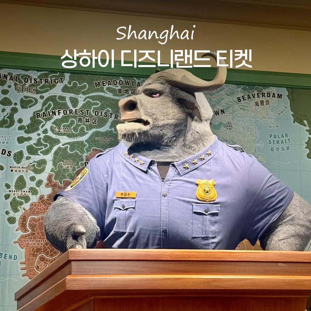 Shanghai Disneyland Ticket Prices 2026: DPA & Ride Tips