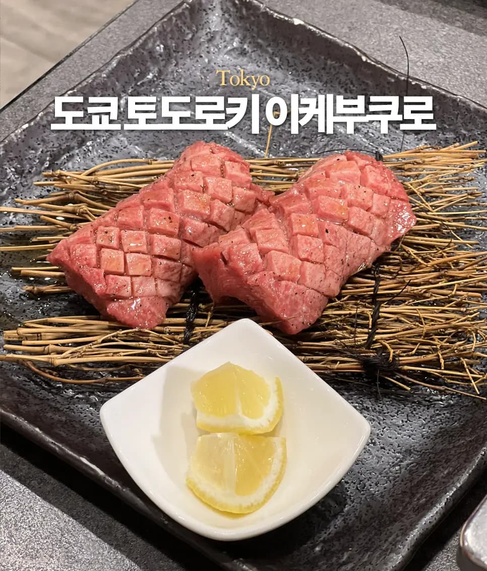 Yakiniku Todoroki Ikebukuro Review: Tokyo's Best BBQ Value