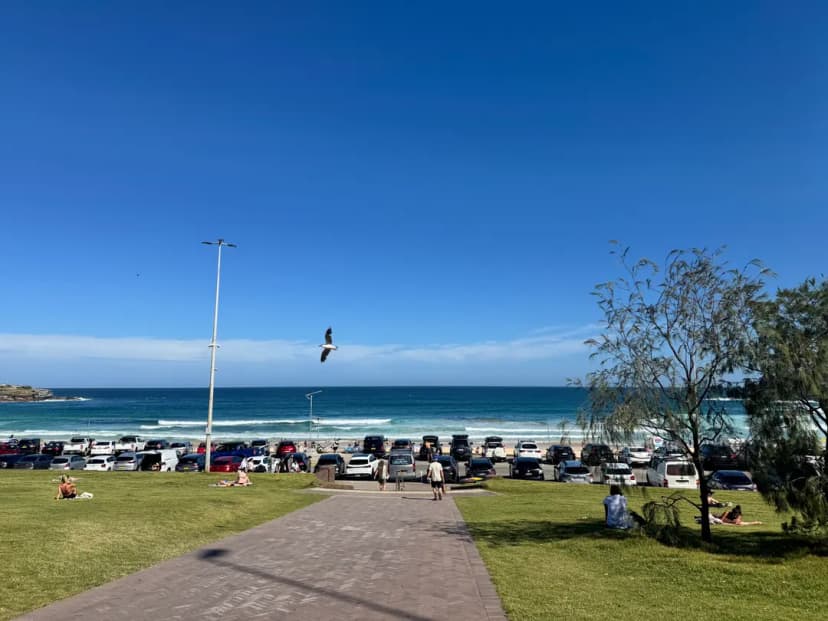 Bondi Beach Coastal Walk