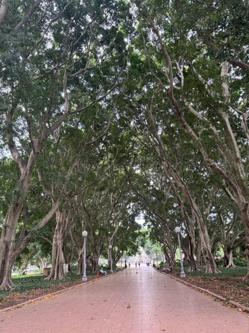 Sydney Hyde Park