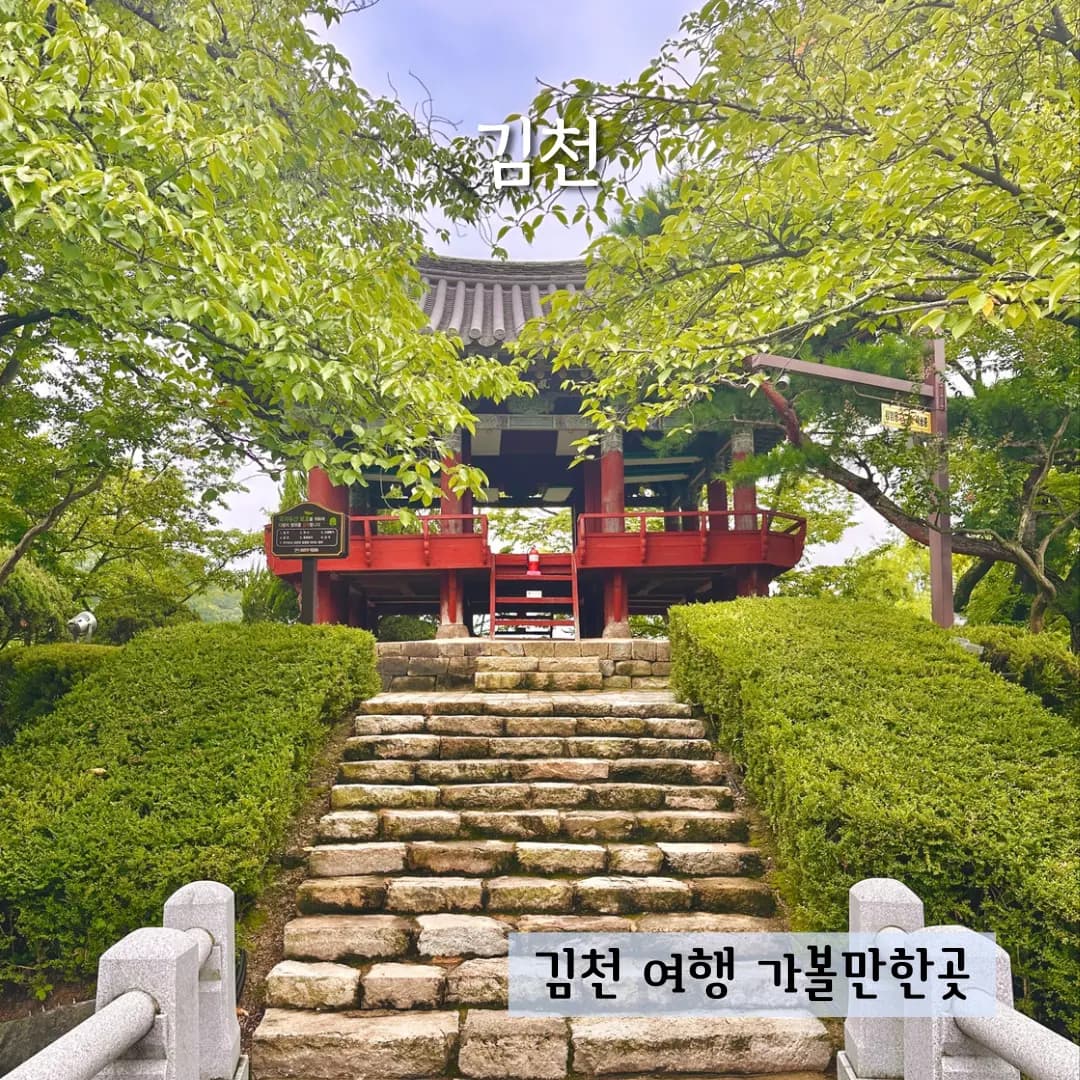 경북 김천 가볼만한곳 추천 연꽃 연화지 황금시장 김천여행코스