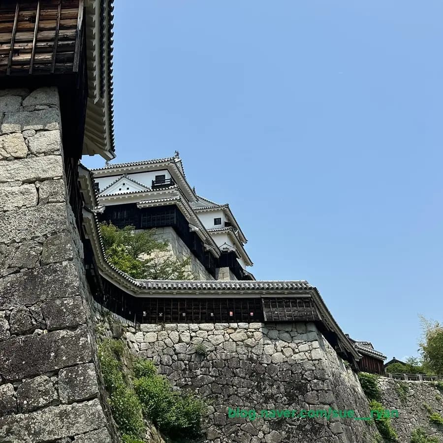 松山旅行2026:道後温泉、松山城、絶品塩パン巡り!詳細ガイド