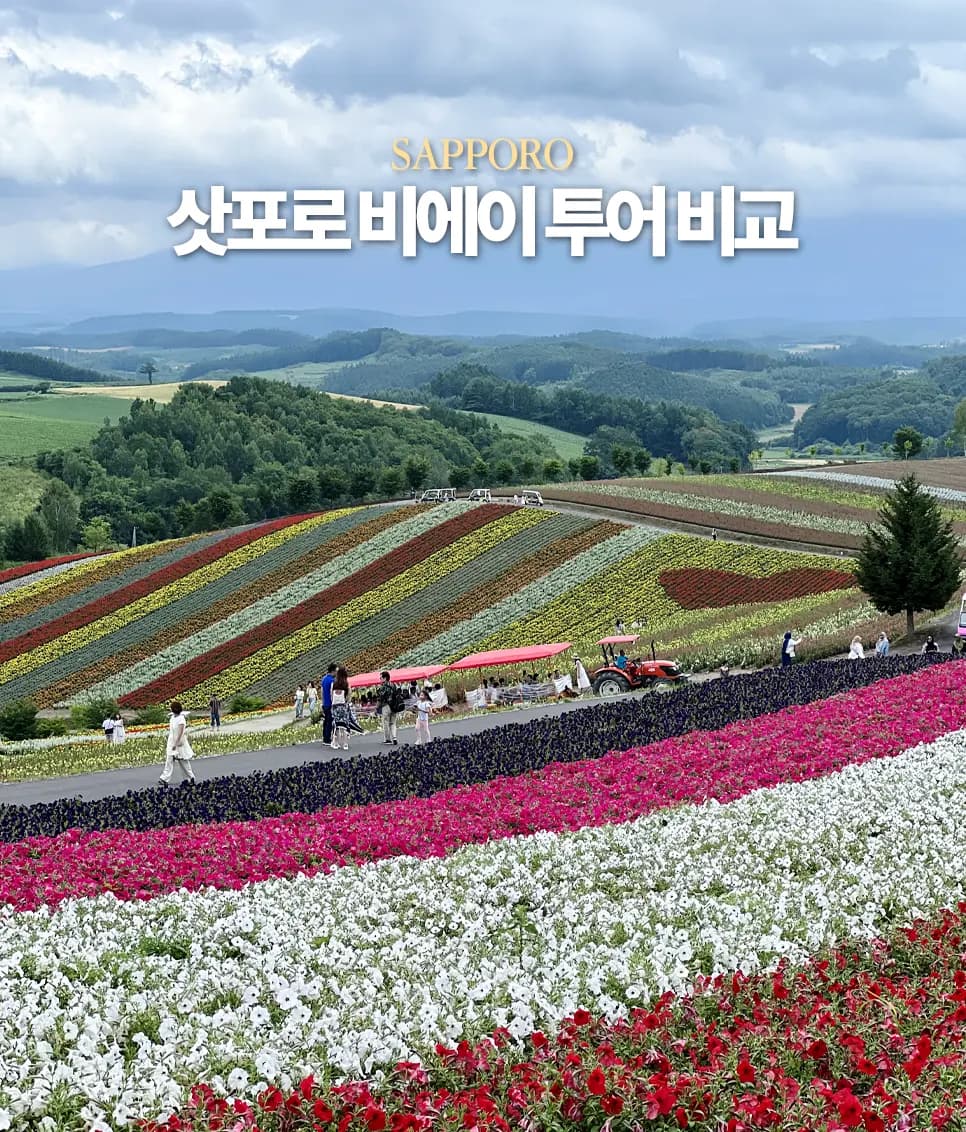 삿포로 비에이 버스 투어 업체 7곳 비교 준페이 예약