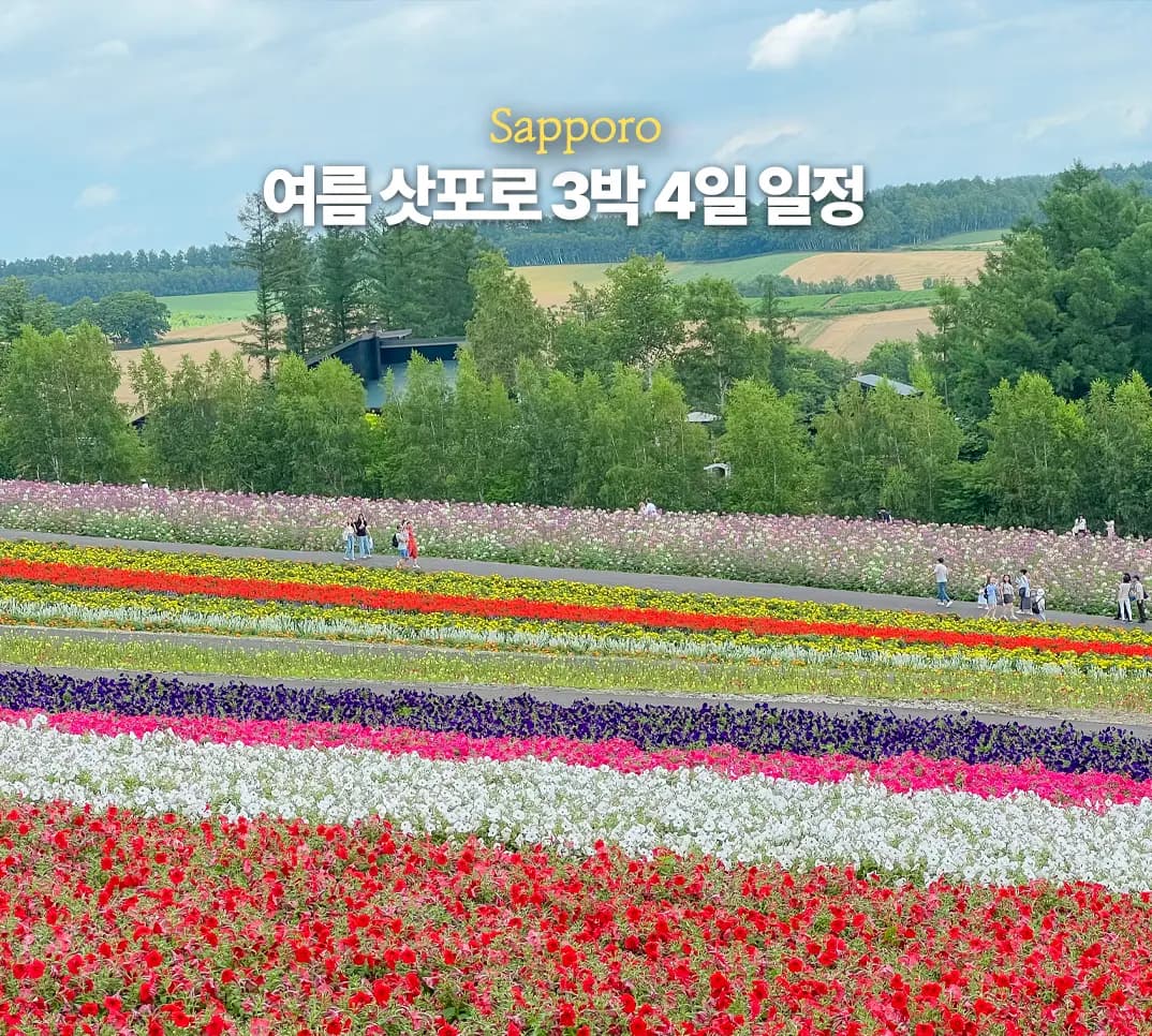 여름 8월 9월 삿포로 3박 4일 여행 일정 코스 비에이 투어