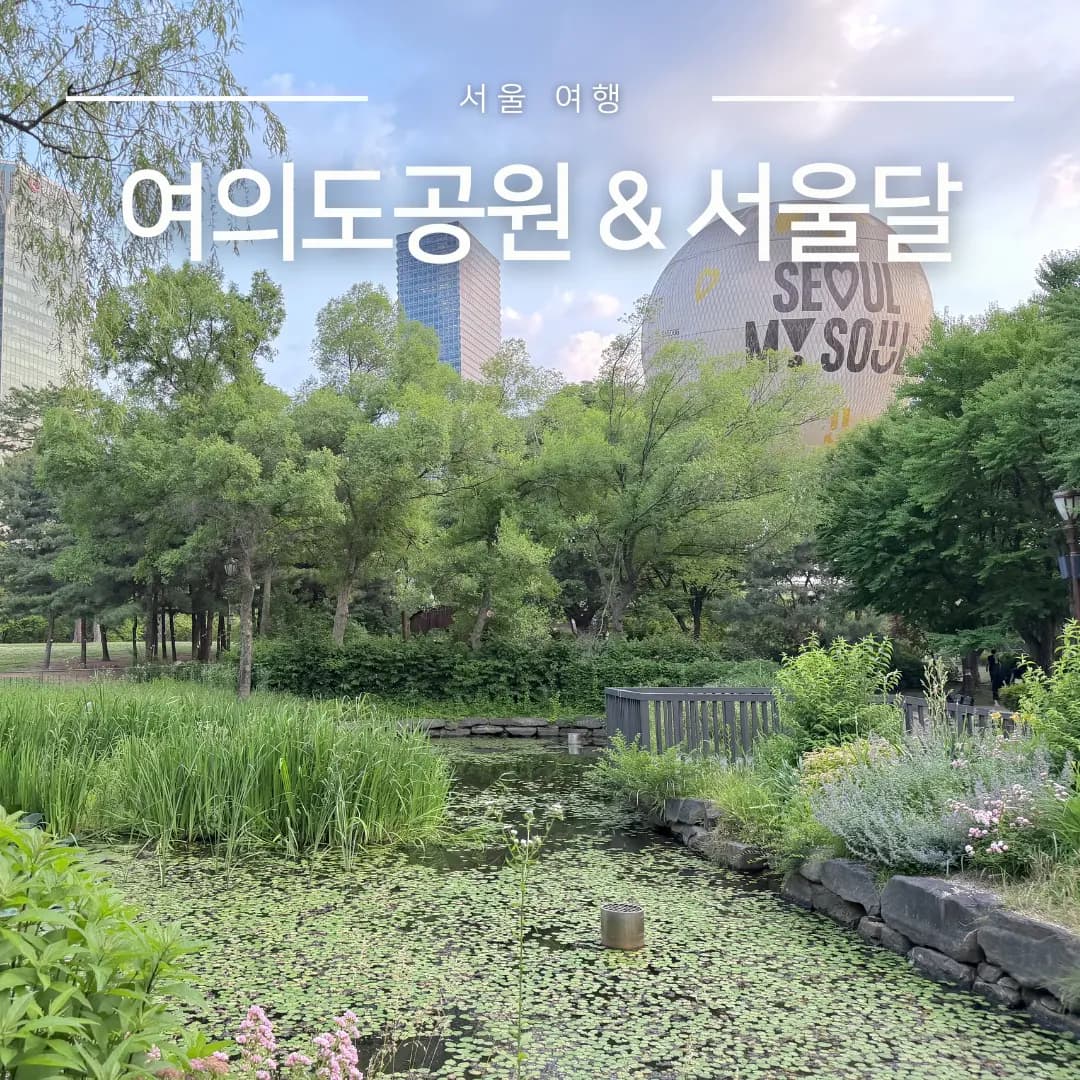 여의도 아이랑 놀거리 여의도공원 산책 서울달 예약