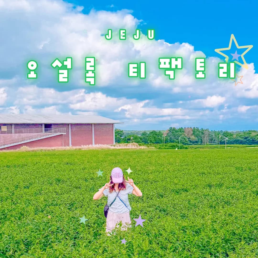 Osulloc Tea House Tea Factory: East Jeju's Serene Tea Fields 2026