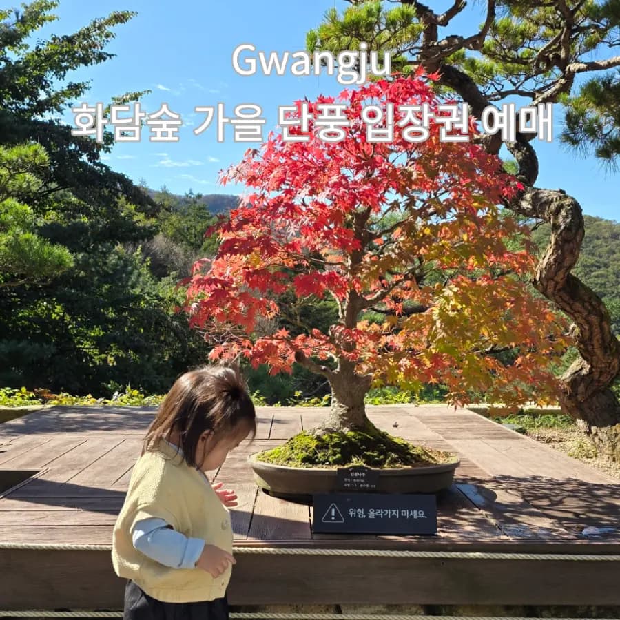 2026 화담숲 단풍 입장권 예매 방법 모노레일 취소표 주차 꿀팁 아이랑 후기