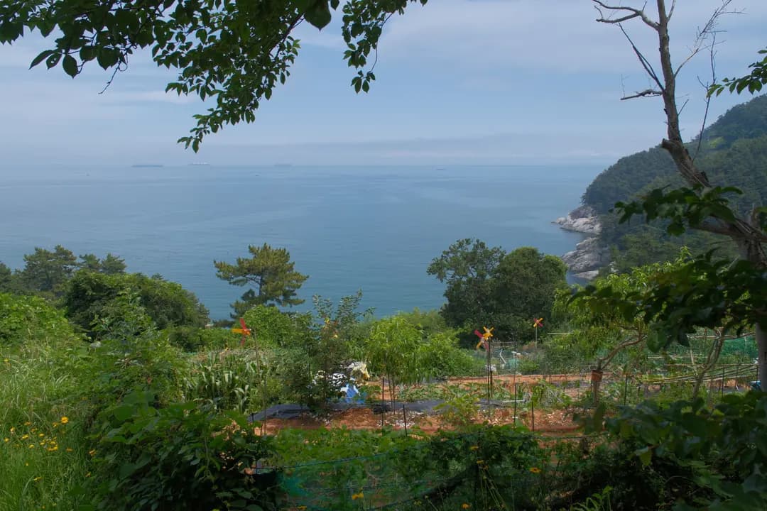 거제도 가볼만한곳 양지암조각공원 풍경 산책