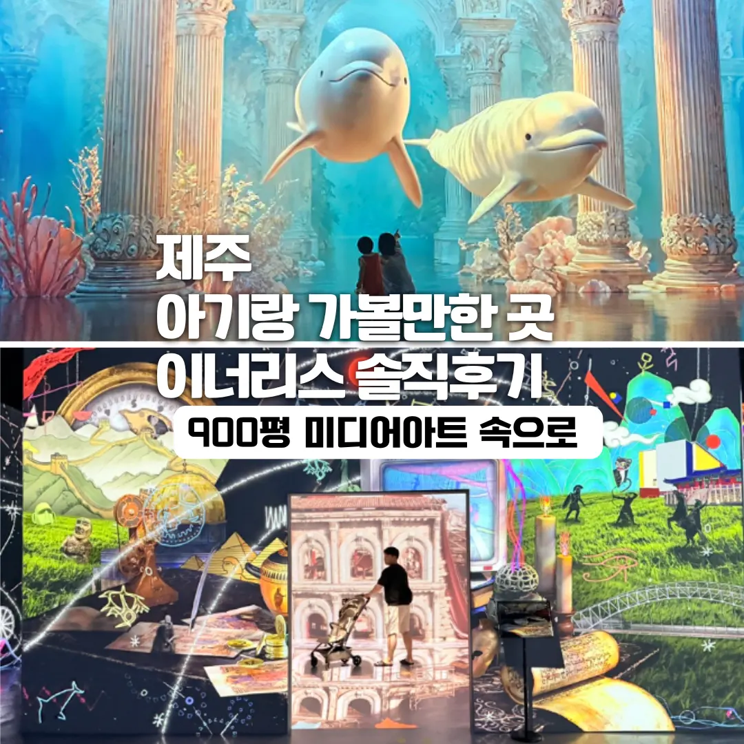 제주 아기랑 갈만한 실내관광지, 제주동쪽가볼만한곳 이너리스(입장료,관람시간 정보)