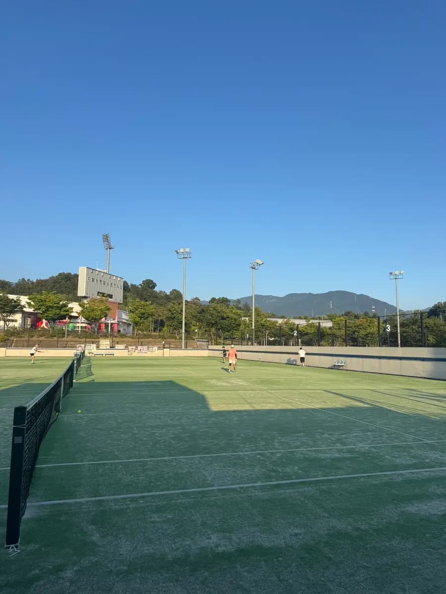 Dalseong Sports Park Tennis: Daegu's Top Artificial Grass Courts