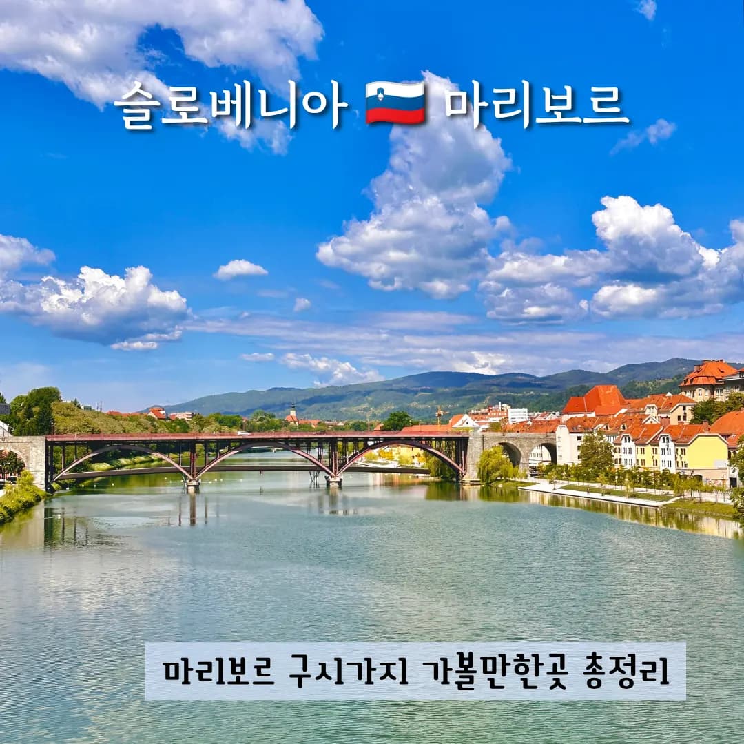 슬로베니아 마리보르 여행 구시가지 가볼만한곳 무료 주차 꿀팁