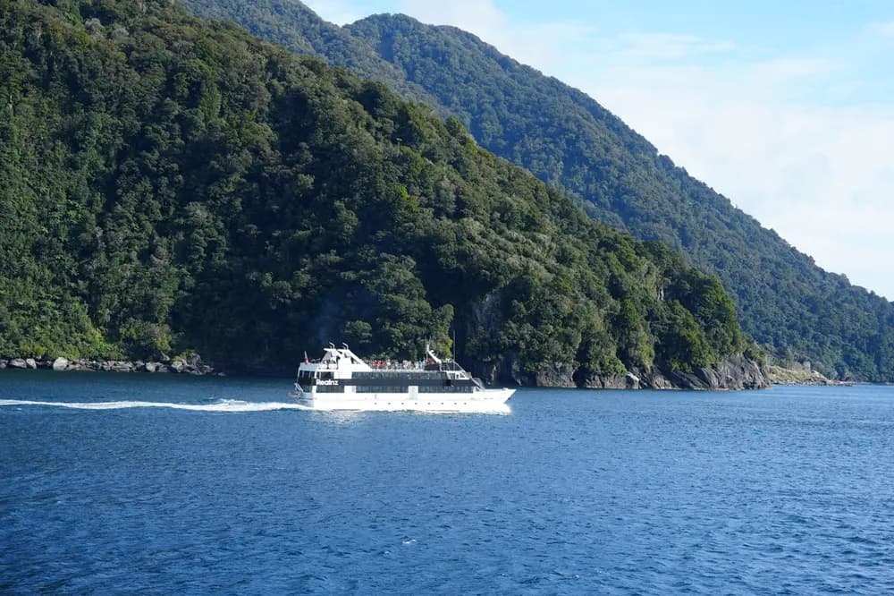 紐西蘭南島米爾福德峽灣郵輪攻略 2026:RealNZ Mariner 船票省錢預訂秘訣