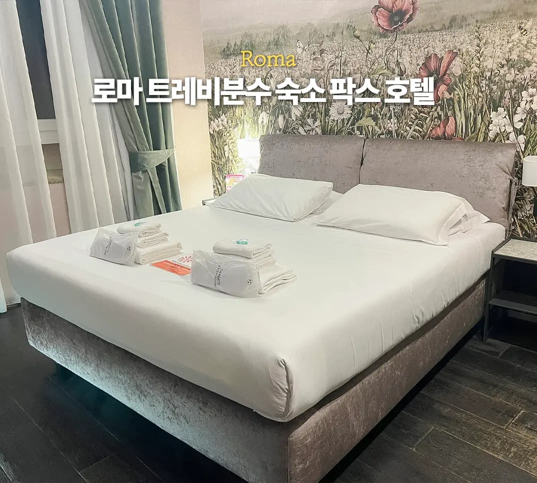 로마 트레비분수 근처 호텔 추천 팍스 호텔 포헤즈 프라이빗 스위트