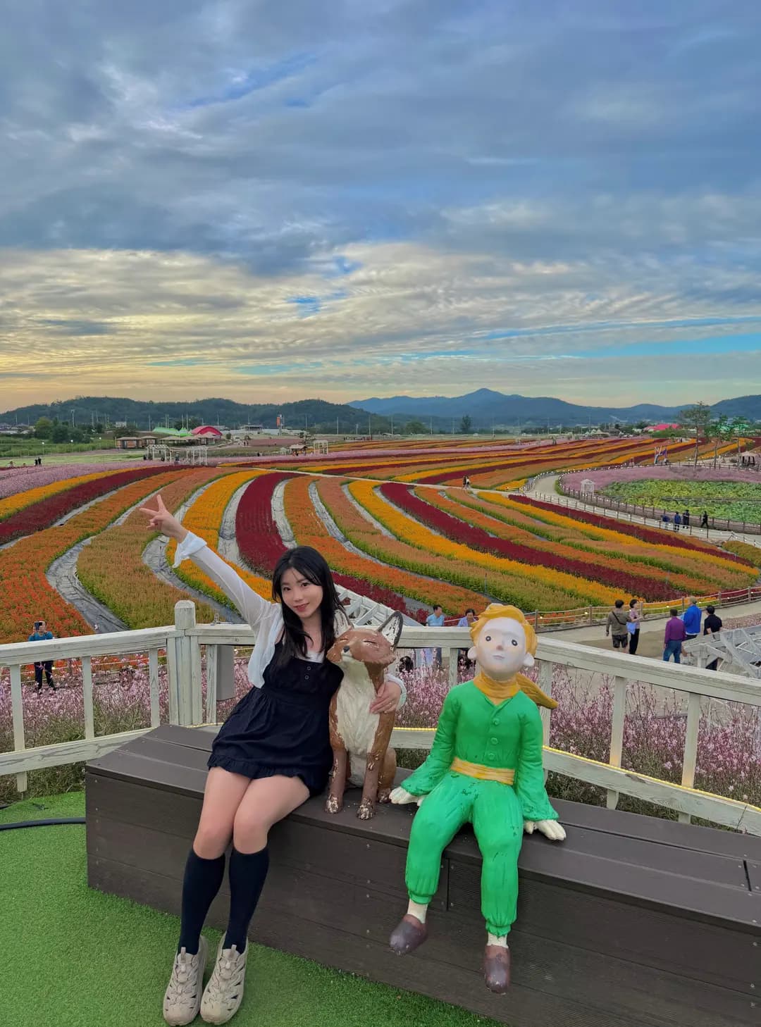 Cheorwon Goseokjeong Flower Garden 2026: Festival Guide & Tickets