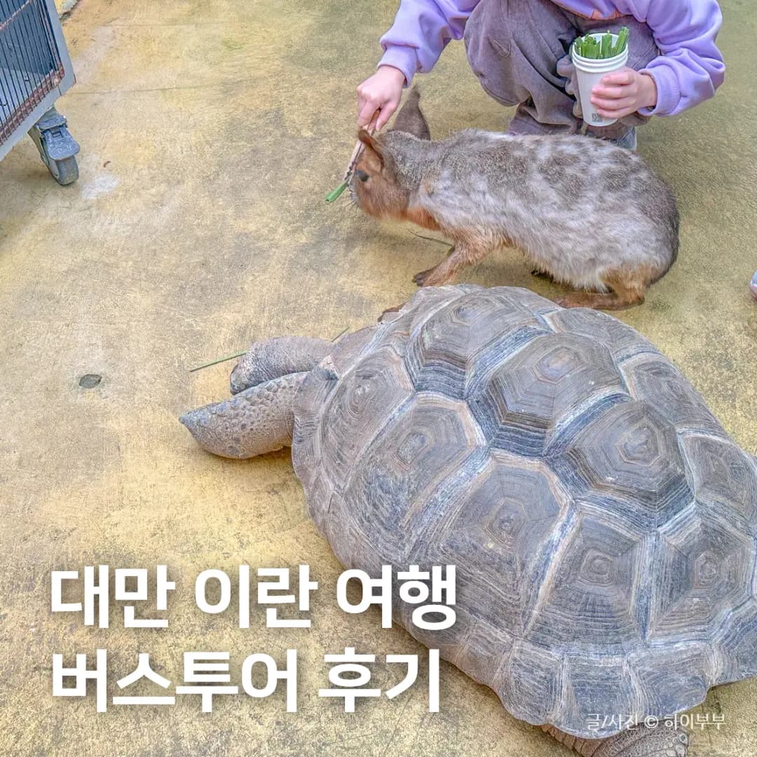 대만 가볼만한곳 이란 여행 타이완 몬스터 버스투어 후기