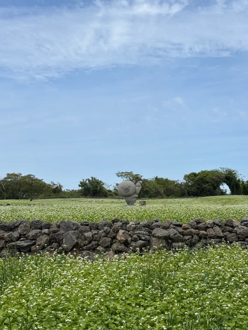 East Jeju dog-friendly course