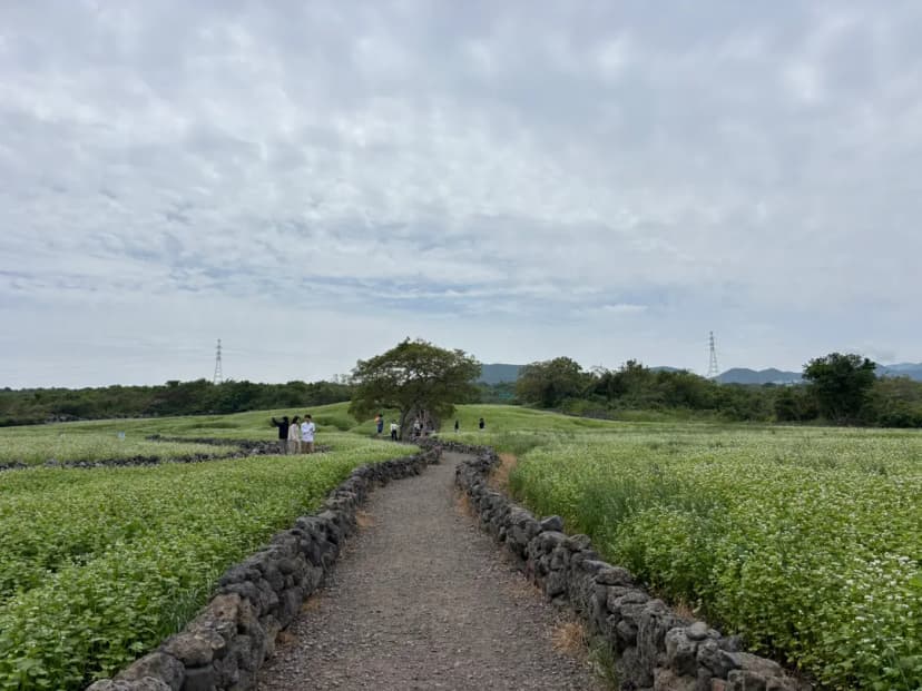October East Jeju travel itinerary