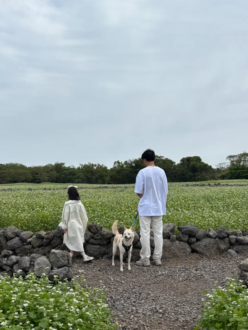 Jeju dog-friendly tourist spot East
