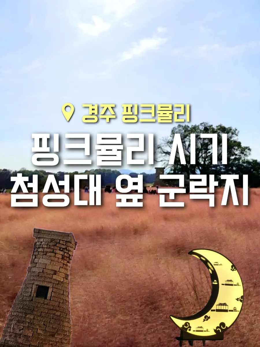 경주 가볼만한곳 핑크뮬리 시기 명소 | 첨성대 옆 군락지 10월 방문 후기