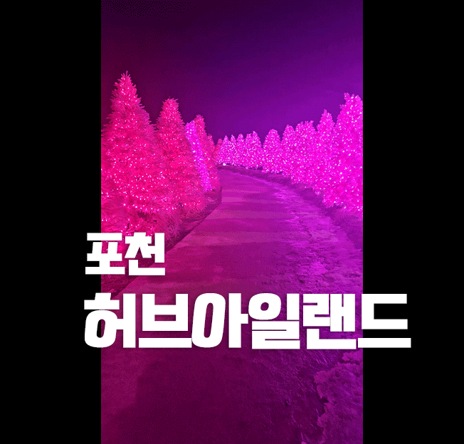 포천 산정호수, 허브아일랜드 야간 핑크뮬리 ㅡ 야간 핑크 모래언덕