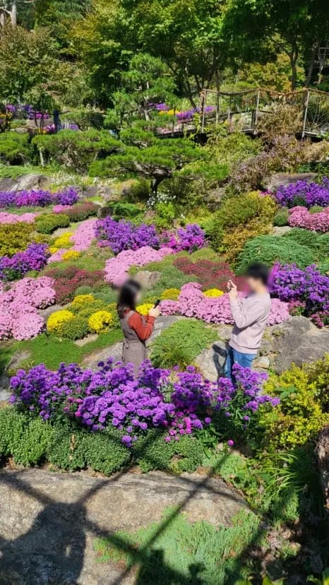 Hwadam Botanic Garden Booking Guide 2026: Hwadamchae & Resort Packages