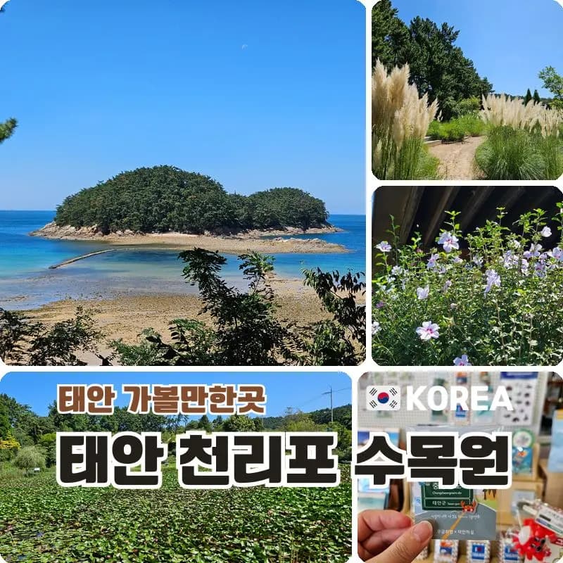 태안 천리포 수목원 입장료 할인 후기