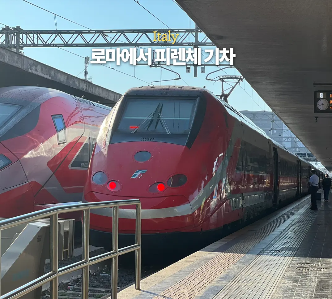 로마에서 피렌체 가는 법 기차 이딸로 트랜이탈리아 비즈니스 후기 캐리어